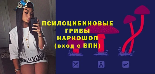 гашик Аркадак