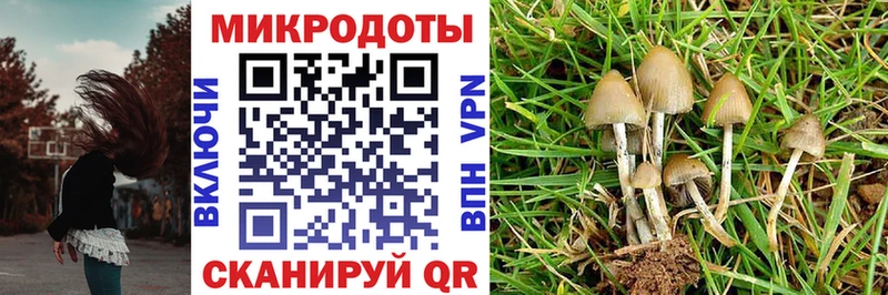 Псилоцибиновые грибы Psilocybe  хочу   Жигулёвск 